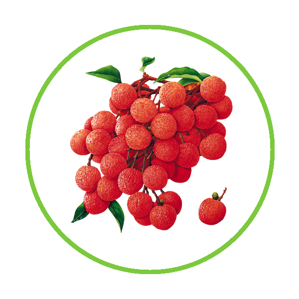 厦门三喜果蔬有限公司